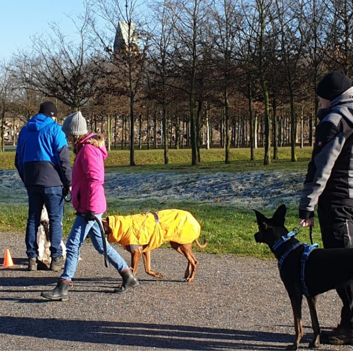 Gruppentraining